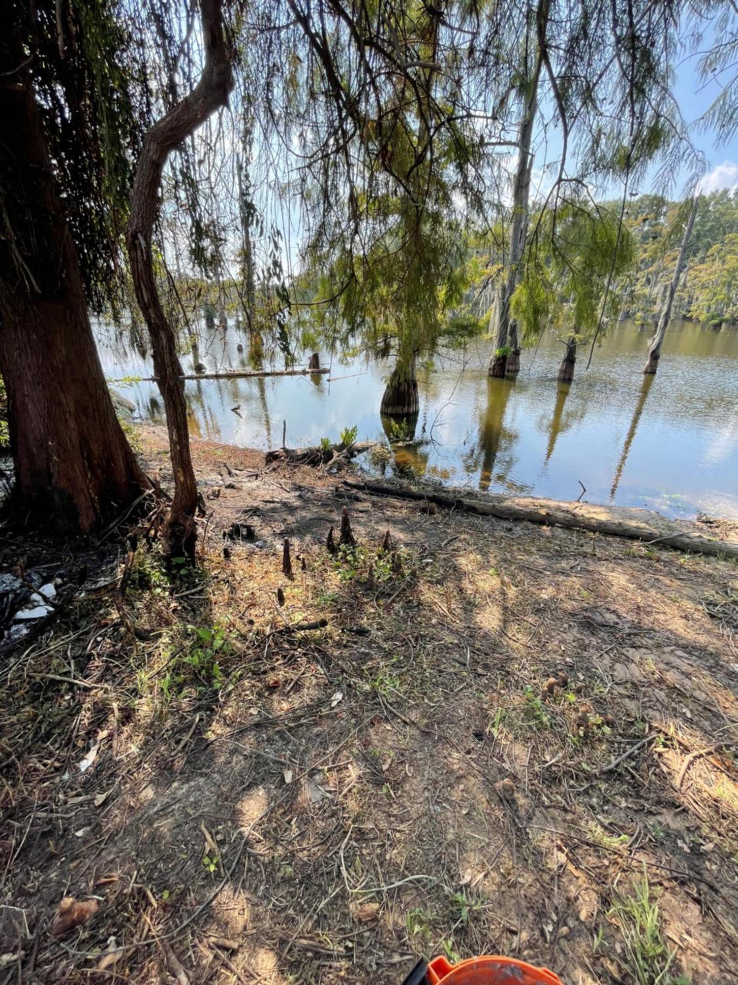 Bayou And Beyond Bayou View 门罗 外观 照片